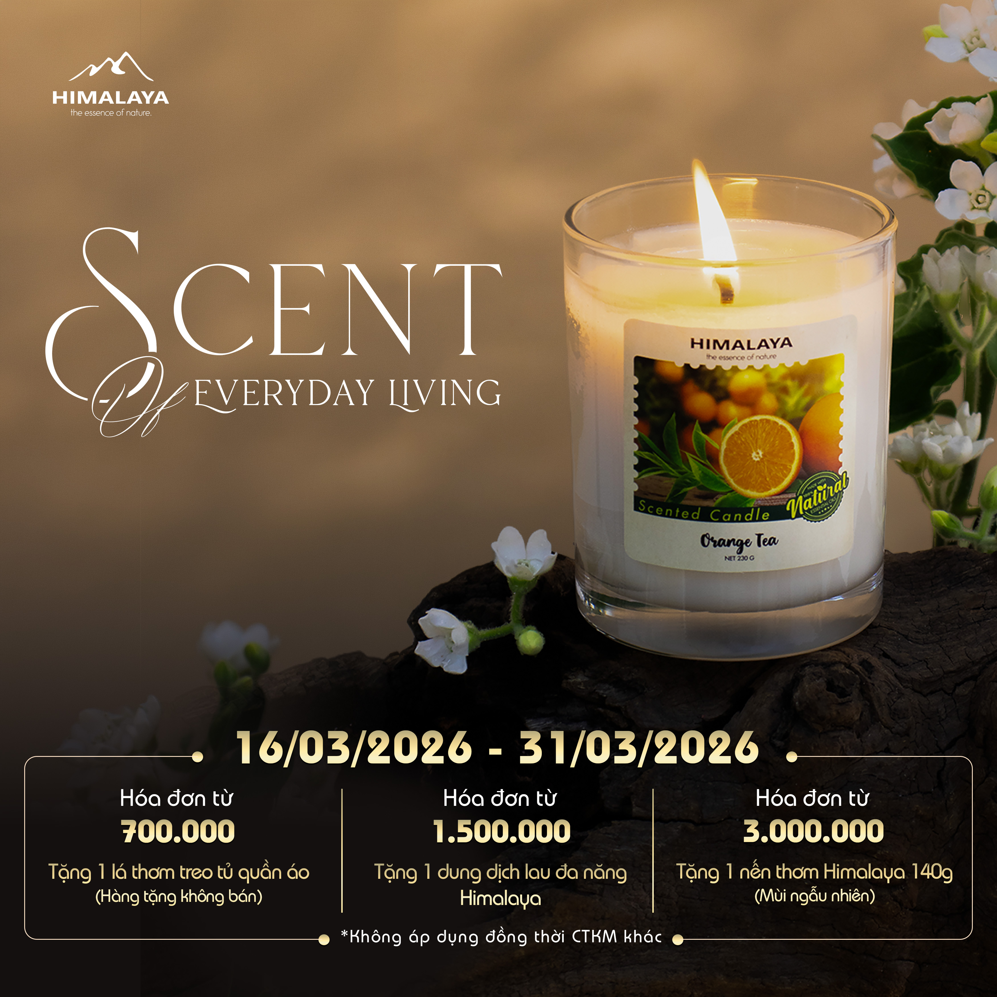🌿 SCENT OF EVERYDAY LIVING – HƯƠNG THƠM TRONG TỪNG NHỊP SỐNG